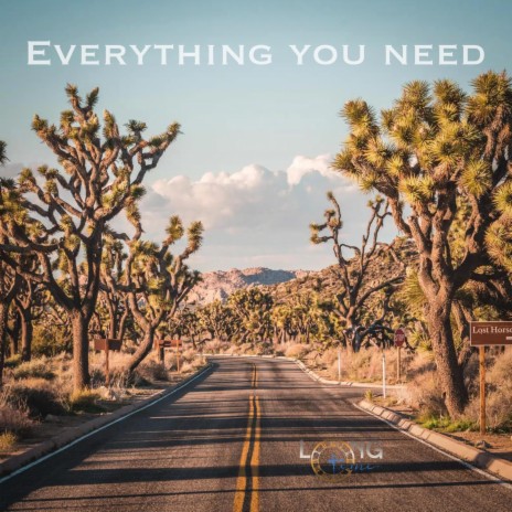 Everything You Need | Boomplay Music