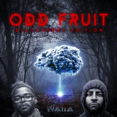 Odd Fruit Blackberry Edition ft. Big Shot Manceeni | Boomplay Music