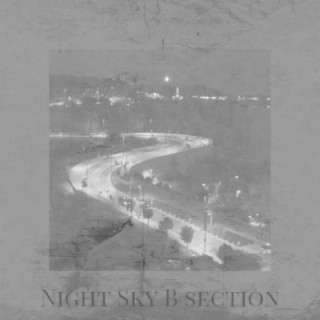 Night Sky B section