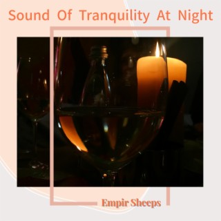 Sound Of Tranquility At Night