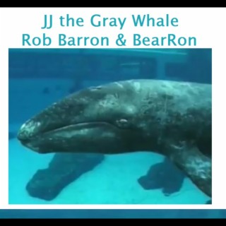 JJ the Gray Whale