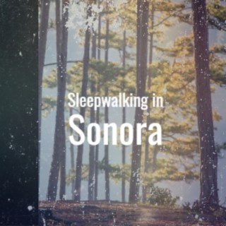 Sleepwalking in Sonora