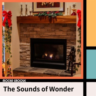 The Sounds of Wonder