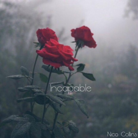 Incapable | Boomplay Music