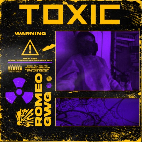 Toxic ft. Roman | Boomplay Music