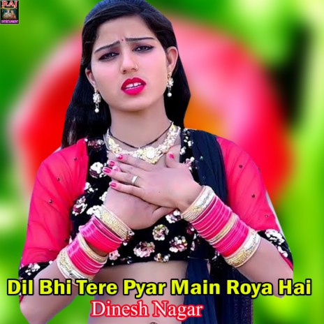 Dil Bhi Tere Pyar Main Roya Hai | Boomplay Music