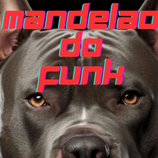 MANDELAO DO FUNK