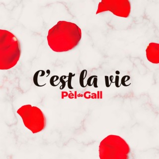 Pèl de Gall