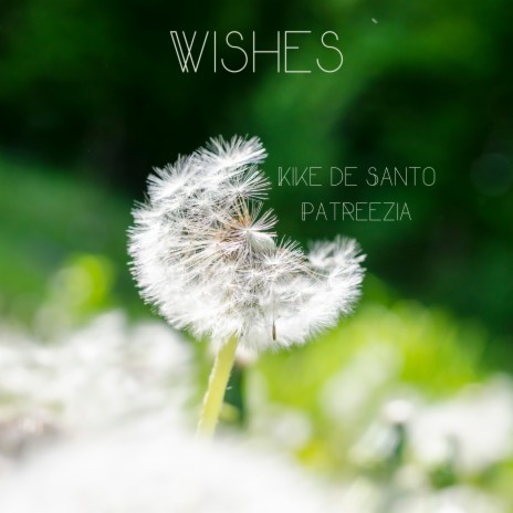 Wishes ft. Patreezia | Boomplay Music