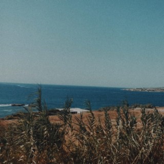 Windy Beach