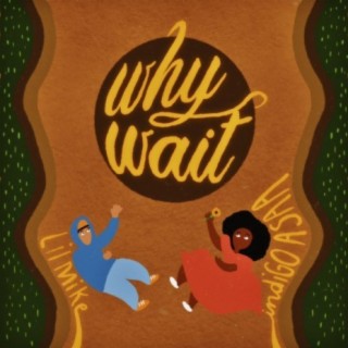 Why Wait (feat. Lil Mike)