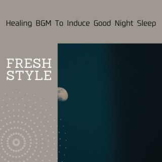 Healing BGM To Induce Good Night Sleep