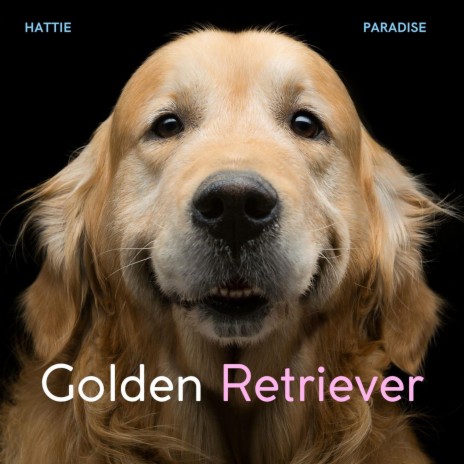Golden Retriever | Boomplay Music
