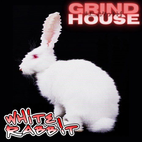 White Rabbit | Boomplay Music