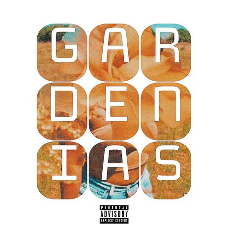 Gardenias | Boomplay Music