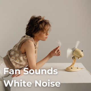 Fan Sounds White Noise