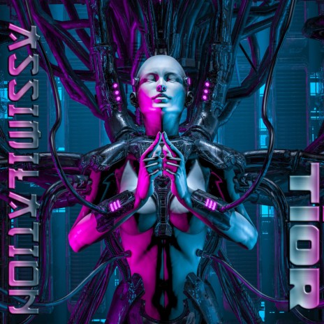 Assimilation | Boomplay Music