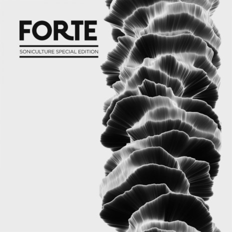 How Forte Are You (Original Mix) | Boomplay Music