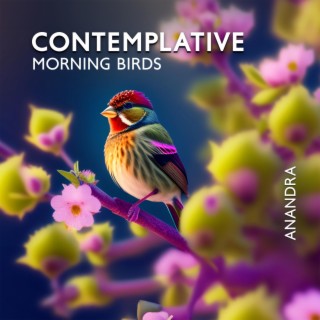 Contemplative Morning with Zen: Peaceful Ambient Music with Birds, and Bamboo Water Fountain for Rejuvenation, Vitality, and Positivity