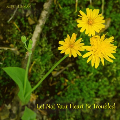 Let Not Your Heart Be Troubled