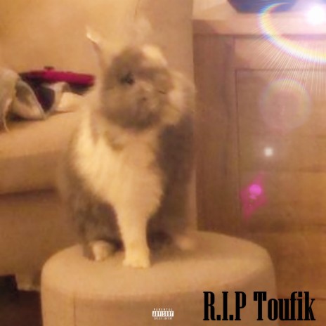 R.I.P Toufik ft. Toufik | Boomplay Music