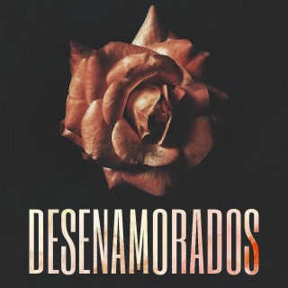 DESENAMORADOS