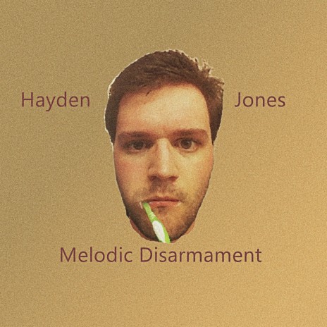 Melodic Disarmament | Boomplay Music