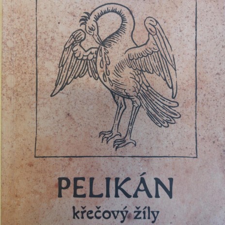Pelikán