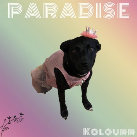 Paradise | Boomplay Music