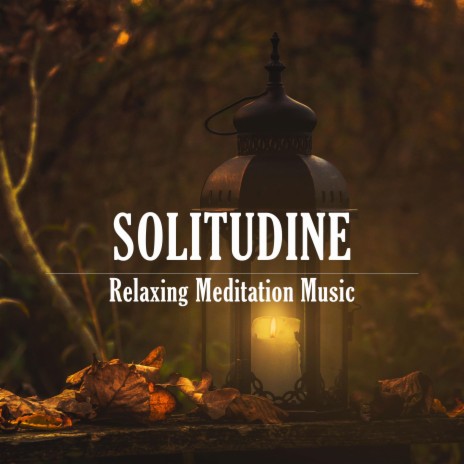 Solitudine | Boomplay Music