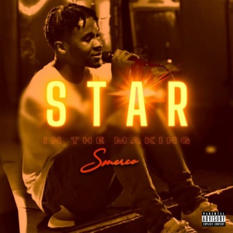 Star In The Making | Boomplay Music