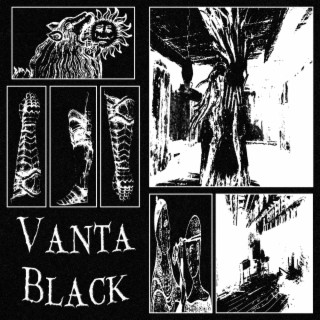 VANTA BLACK