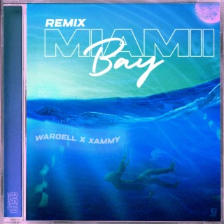 Miami Bay (Remix) ft. Young Sammy lyrics | Boomplay Music