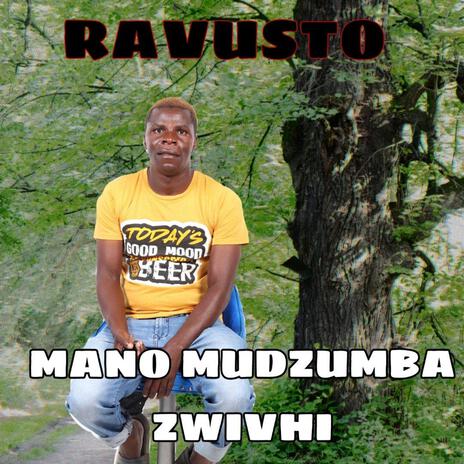 MANO MUDZUMBA ZWIVHI ft. PROEF | Boomplay Music