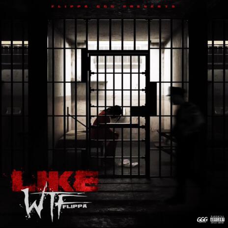 Like WTF | Boomplay Music