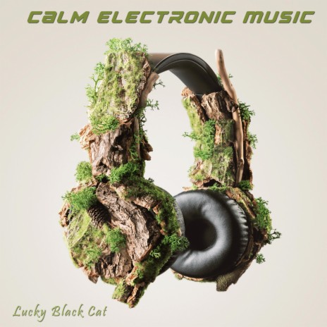 Calm Electronic Music | Boomplay Music