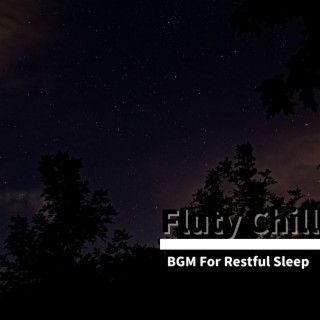 BGM For Restful Sleep