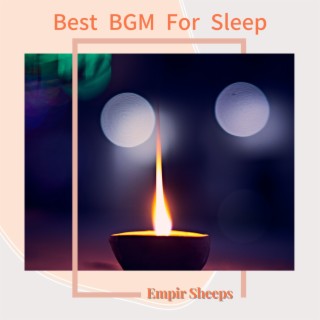 Best BGM For Sleep