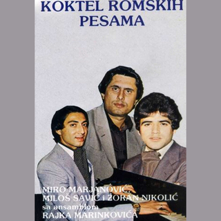 Koktel romskih pesama