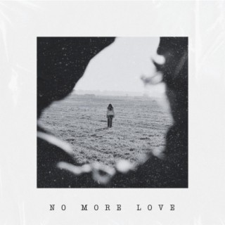 No More Love ft. Ryomape & Nik dB lyrics | Boomplay Music