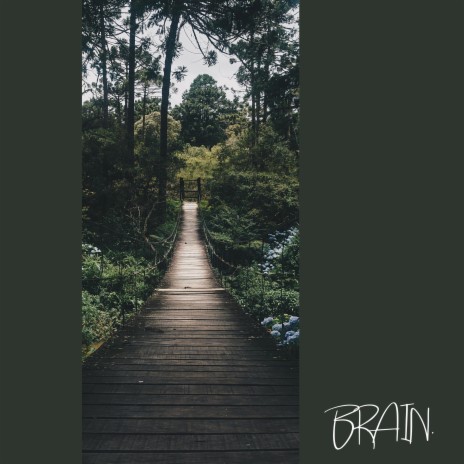 BRAIN. | Boomplay Music