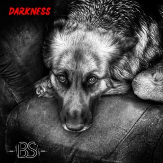 Darkness lyrics | Boomplay Music