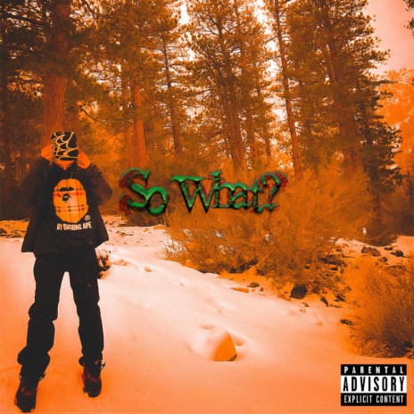 So What? | Boomplay Music