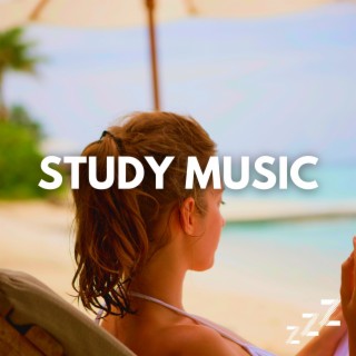 Study Music for Concentration Playlist