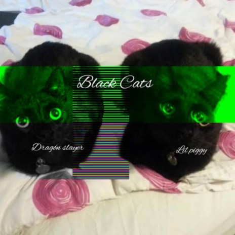 Black cats ft. Lil Piggy | Boomplay Music