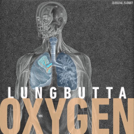 Oxygen (Velcro Fuzz Mix) | Boomplay Music