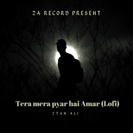 Tera Mera Hai Pyar Amar (Lofi) | Boomplay Music