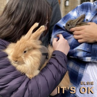 it's ok lyrics | Boomplay Music