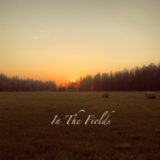 In The Fields lyrics | Boomplay Music