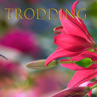 Trodding